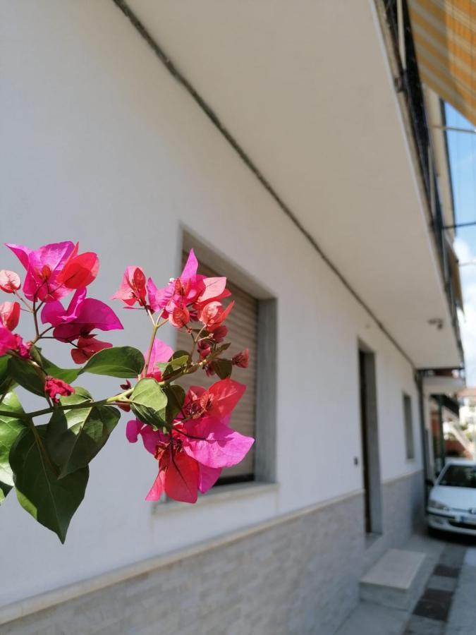 Bouganville Da Gio Scalea Exterior photo